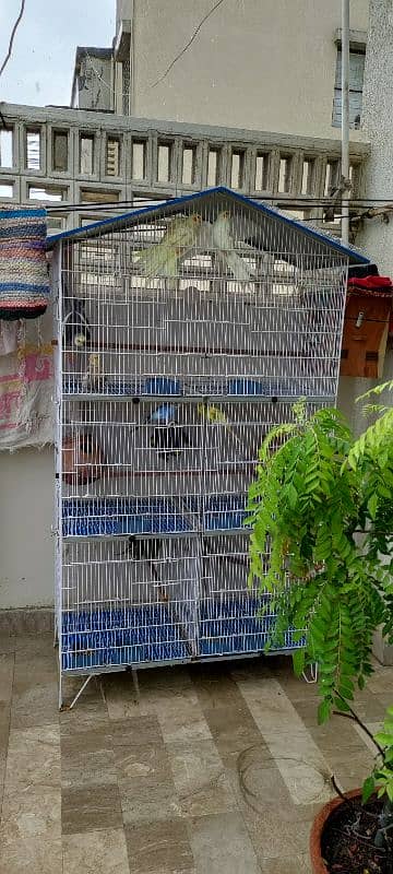 Bird Cage 0