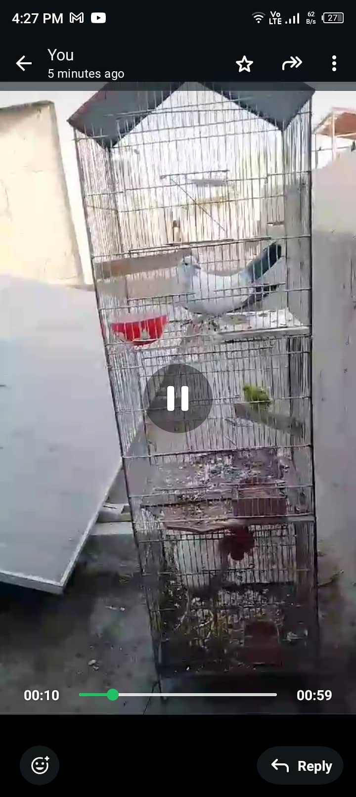 Parrot cage 4