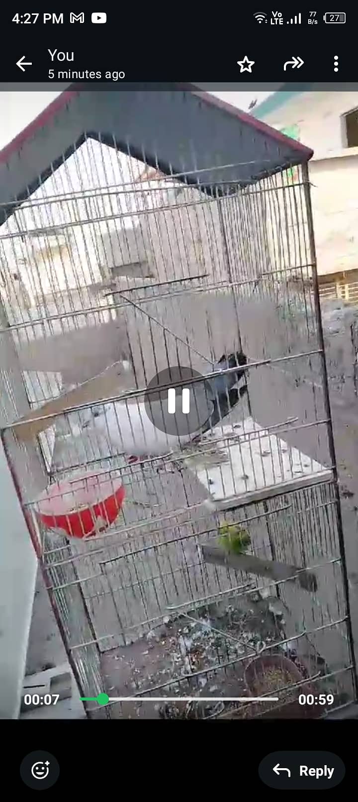 Parrot cage 5