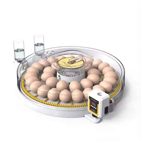 imported incubator 5