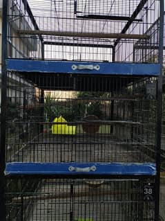 two cage for sale