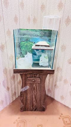 Aquarium