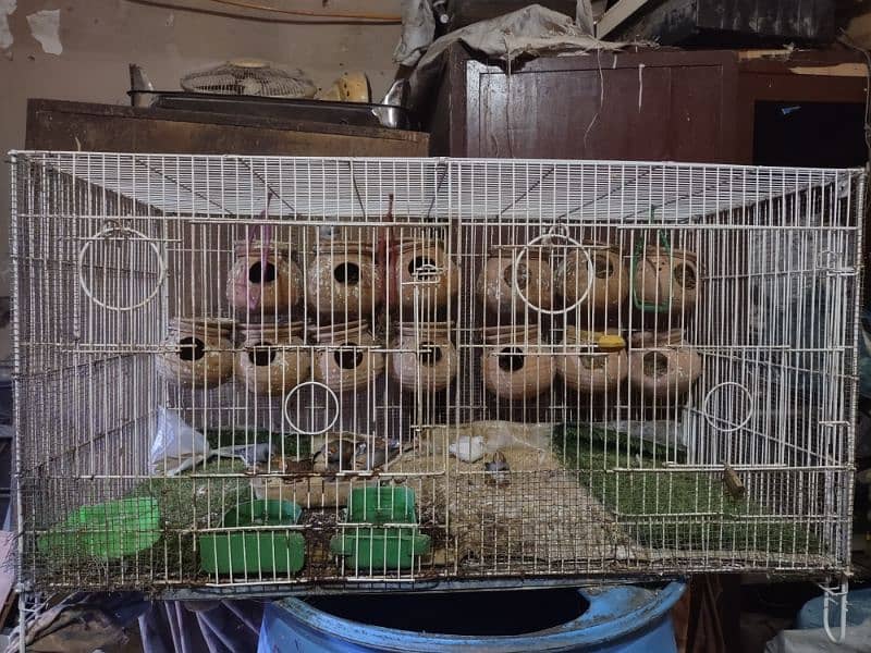 folding cage with 9 finches piece 0