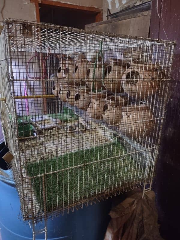 folding cage with 9 finches piece 9