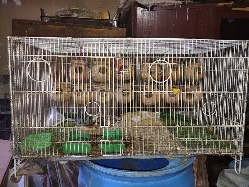 folding cage with 9 finches piece 13