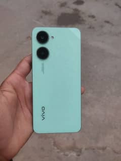 vivo