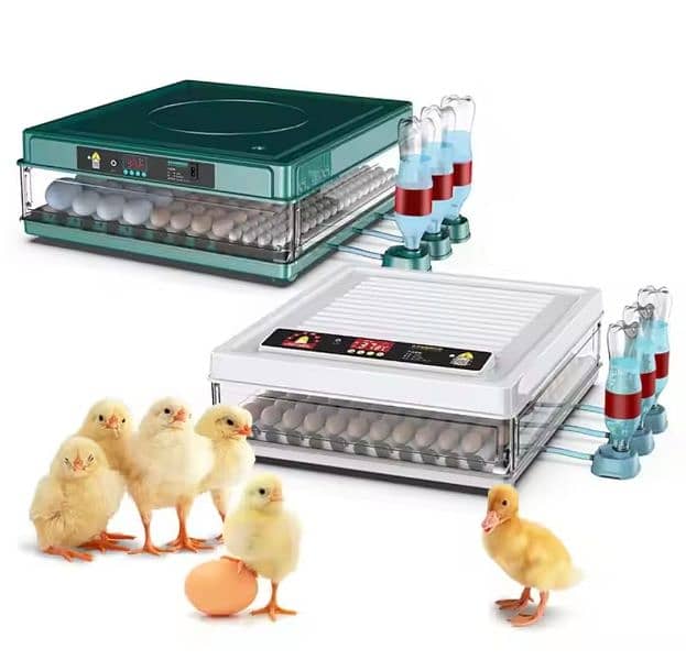 imported incubator 2