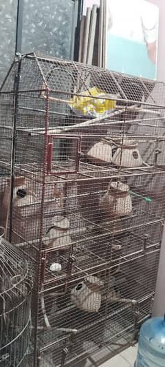 Five-Colony Breeding Cage for Paring Birds