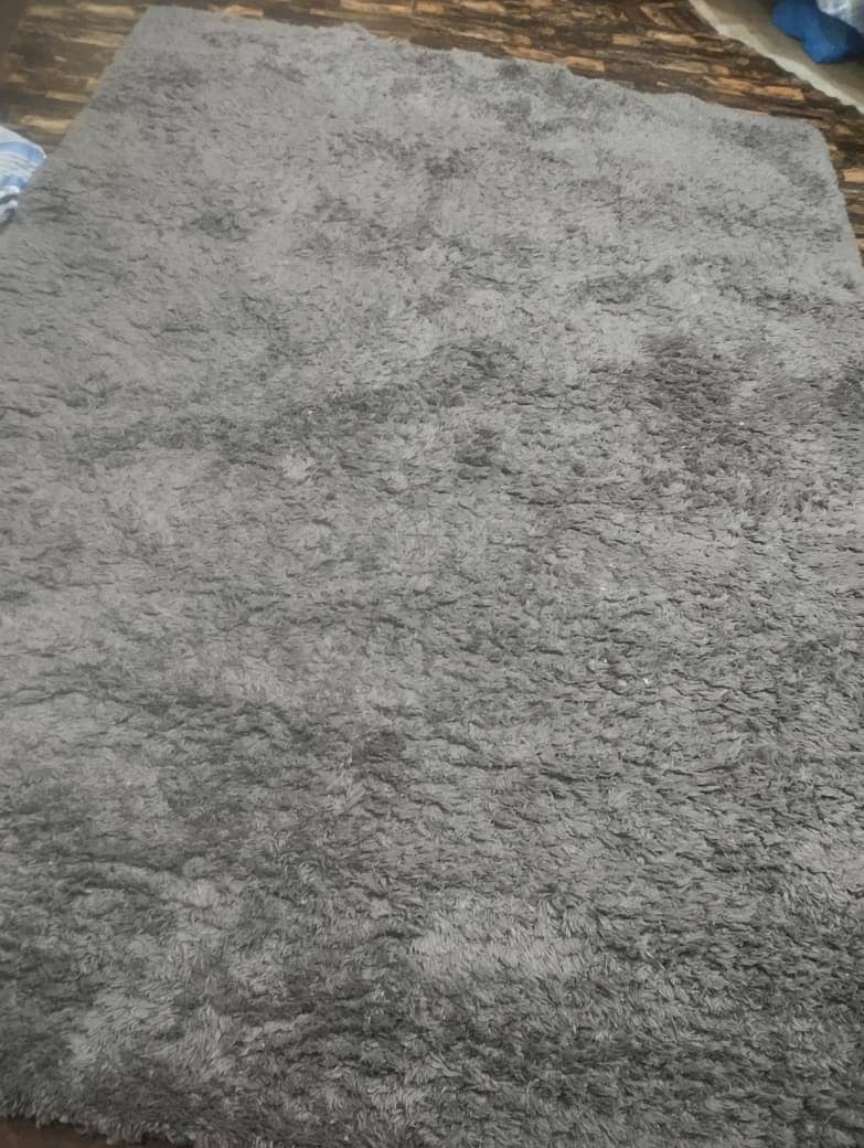 Carpet Caleen 1