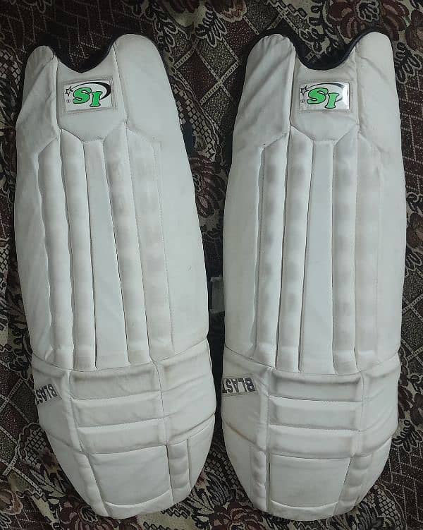 Full Hard Ball Cricket Kit in Best Condition 3