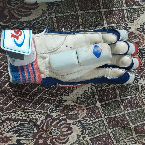 Full Hard Ball Cricket Kit in Best Condition 10