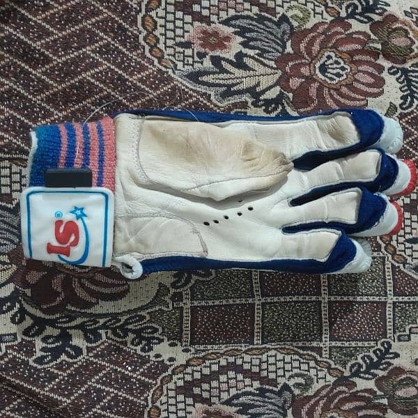 Full Hard Ball Cricket Kit in Best Condition 12