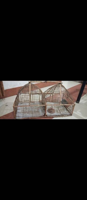 Titer Cage in good condition for Sale 2