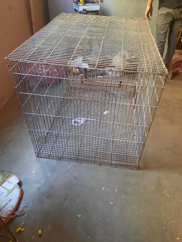 Bid size cage. 3