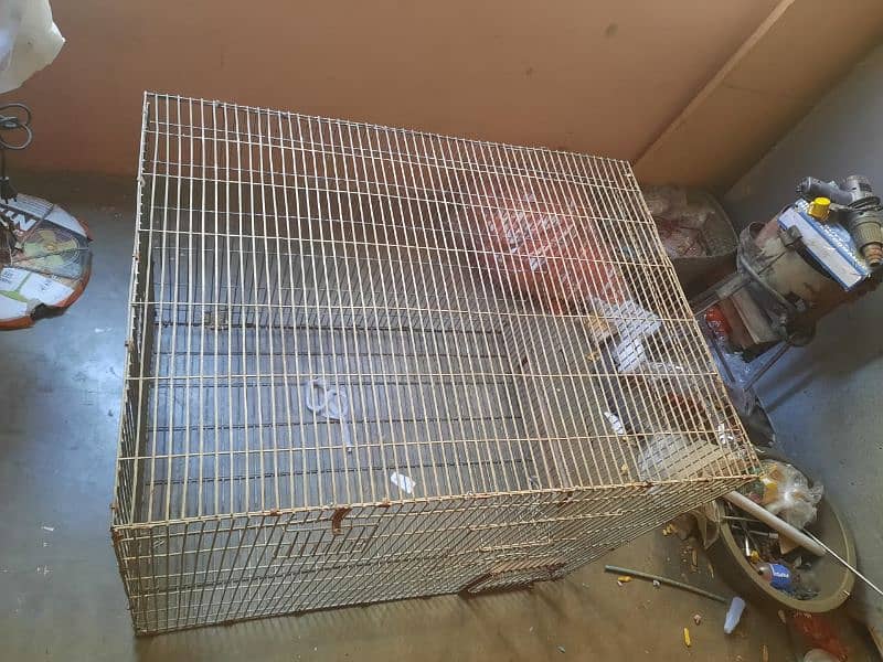 Bid size cage. 5