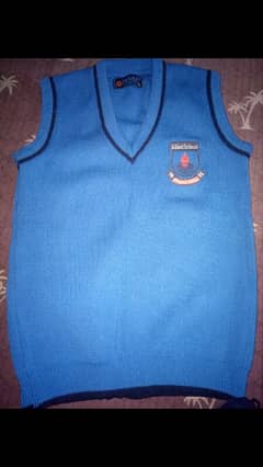 Allied school  half sleeves Sweater for sale