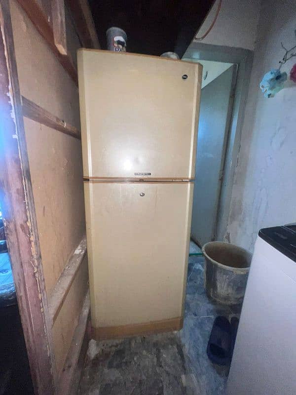 Pel Refregerator with 2 doors 0