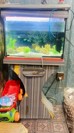 Fish Aquarium  with good condition