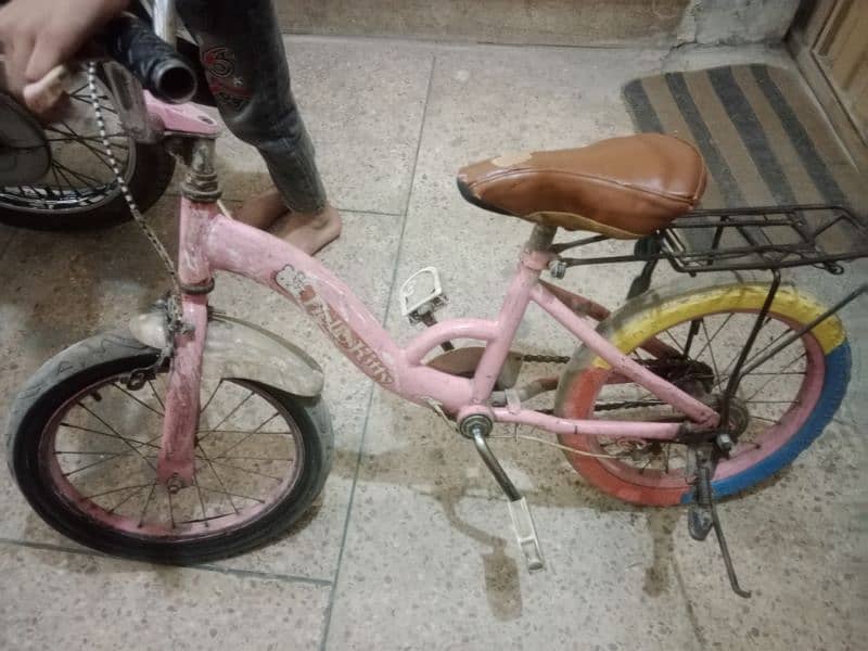 Imported Bicycle for age 6 to 12  ( Sagianpul ) 2