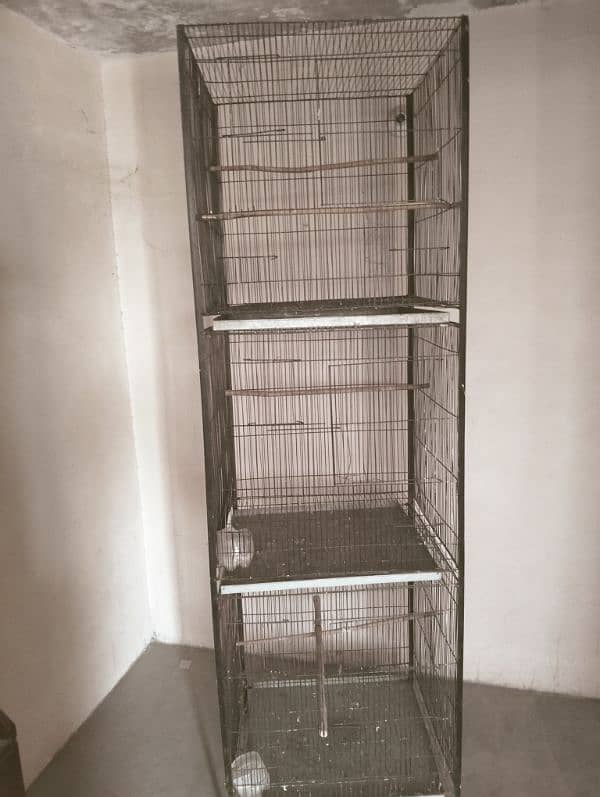 A big parrot cage 1