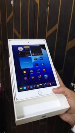 iPad mini 5 256gb