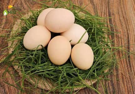Fresh Desi eggs