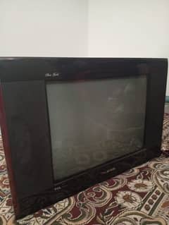 tcl televisions