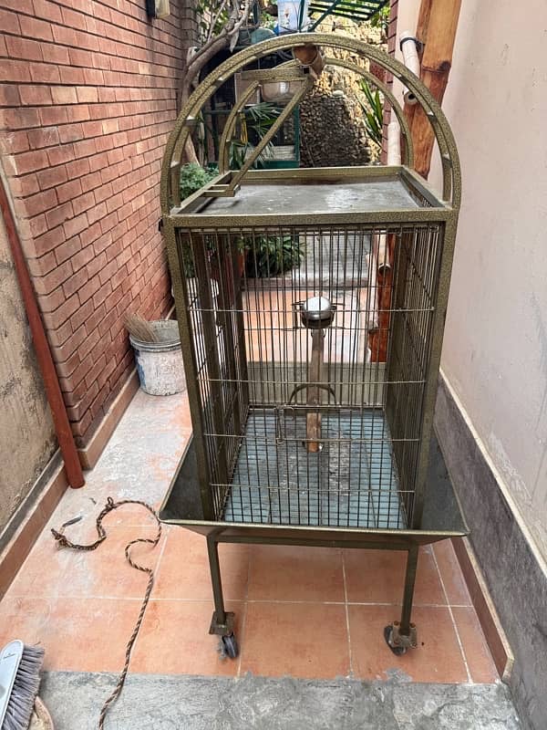 Cage for Grey/Cockatoo Parrot 1