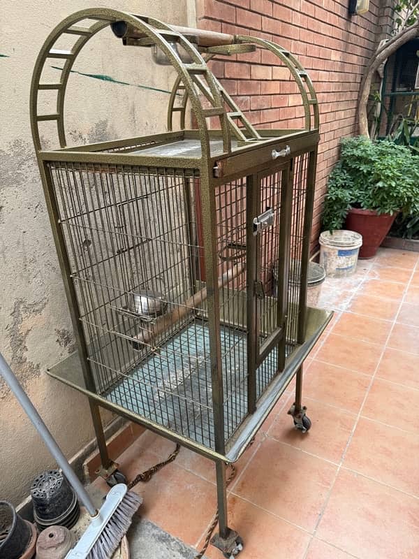 Cage for Grey/Cockatoo Parrot 2