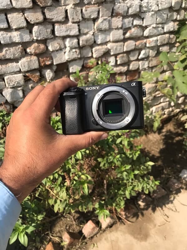 Sony A600 9/10 Condition 0