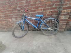 Bicycle for school going