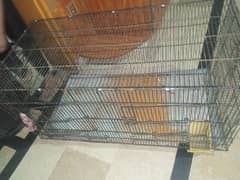 Parrot cage full size