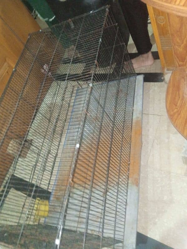 Parrot cage full size 1