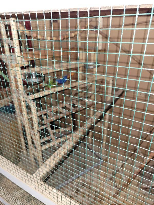 Beautiful & Stylish Wooden Cage with Parrots Stand 6