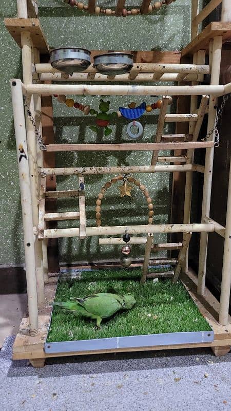 Beautiful & Stylish Wooden Cage with Parrots Stand 10