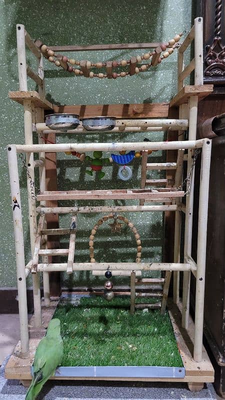 Beautiful & Stylish Wooden Cage with Parrots Stand 12