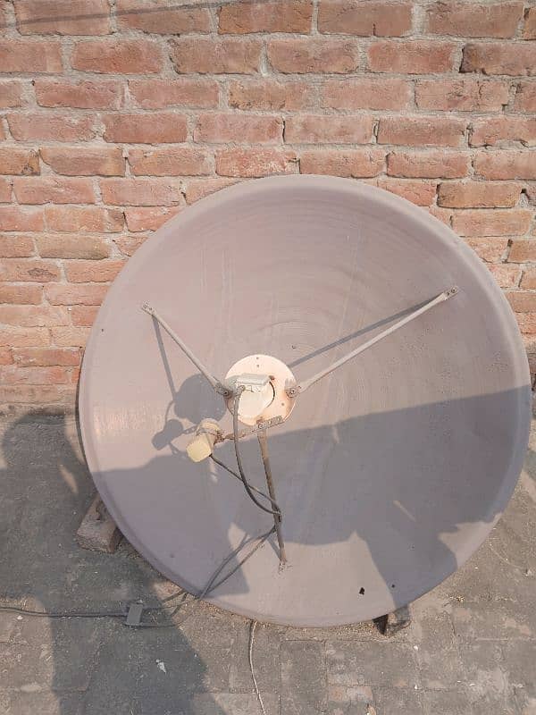 Large Dish 1