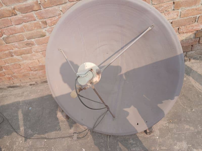 Large Dish 2