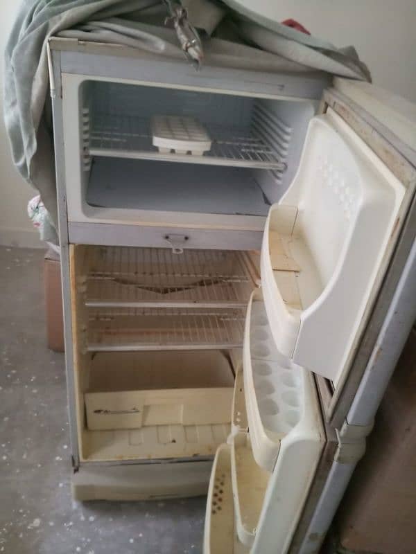 Pel medium size fridge 1