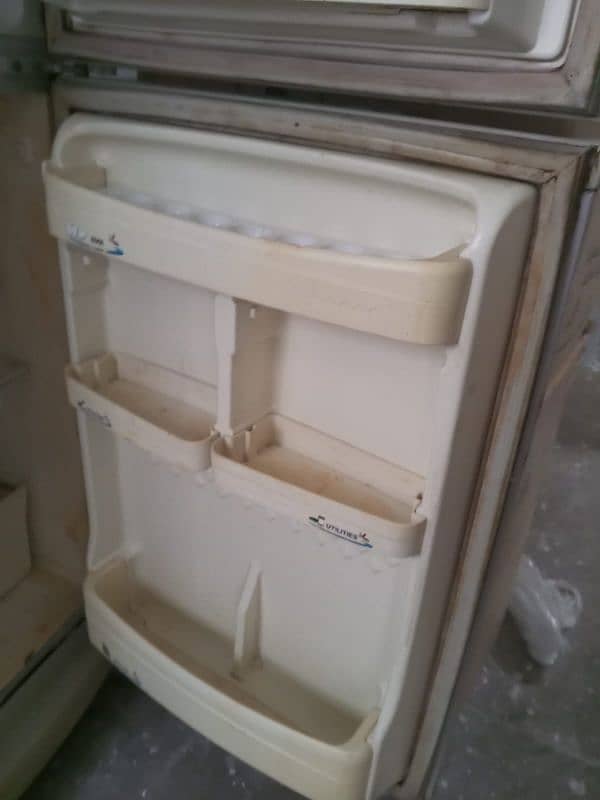 Pel medium size fridge 2