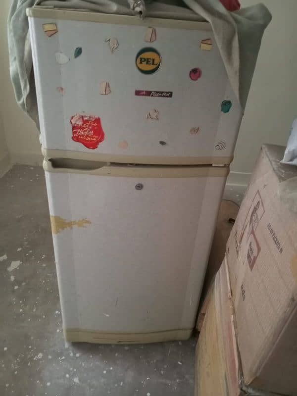 Pel medium size fridge 3