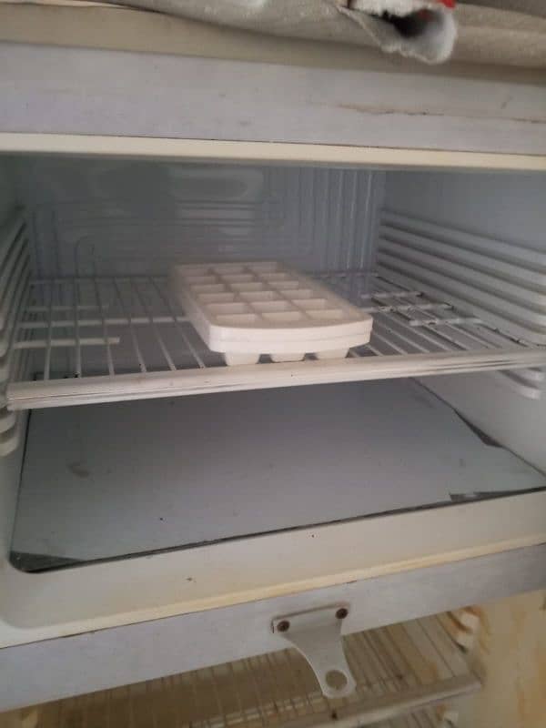 Pel medium size fridge 5