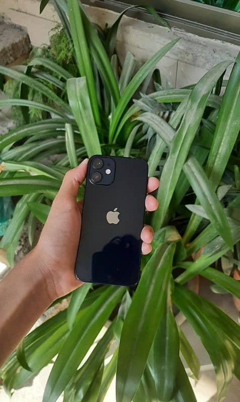 Iphone 12 mini 64Gb non pta 10/10 condition 0