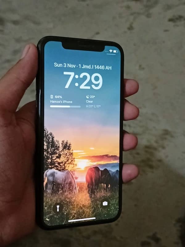 Iphone X  256gb  non pta  factory unlocked 3