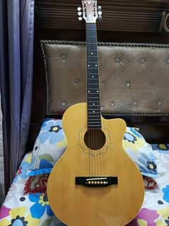 Acoustic Guitar