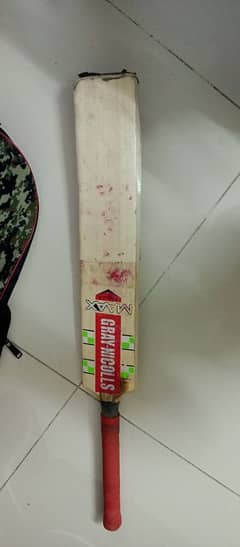 Cricket hard ball kit