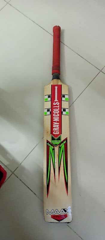 Cricket hard ball kit 1