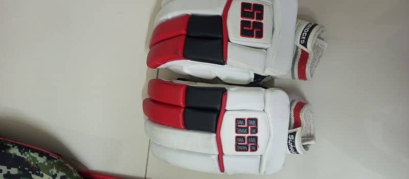 Cricket hard ball kit 12