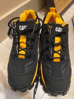 Cat intruder oxford shoes