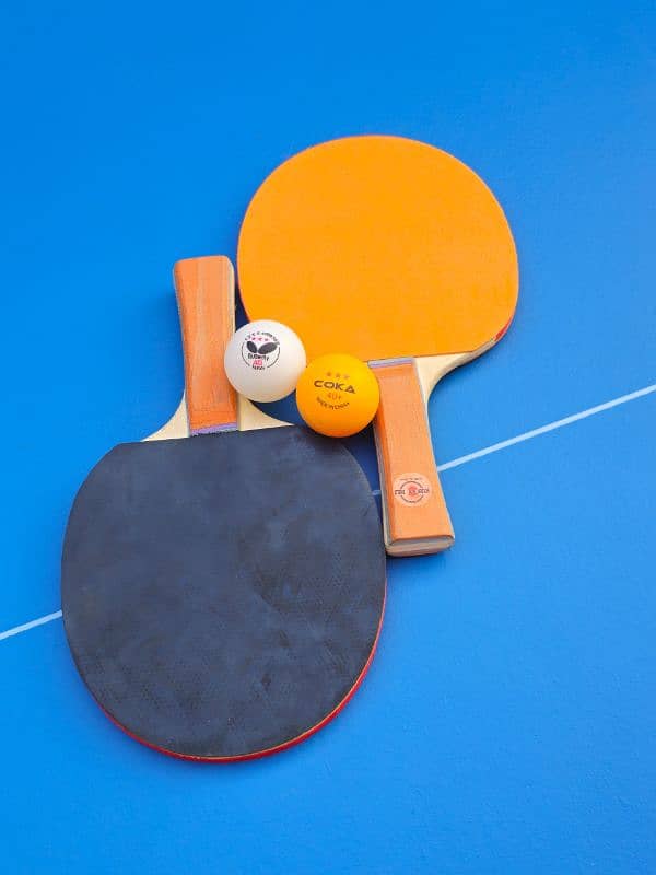 Table Tennis 3